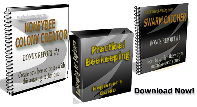 Start Beekeeping ebook covers